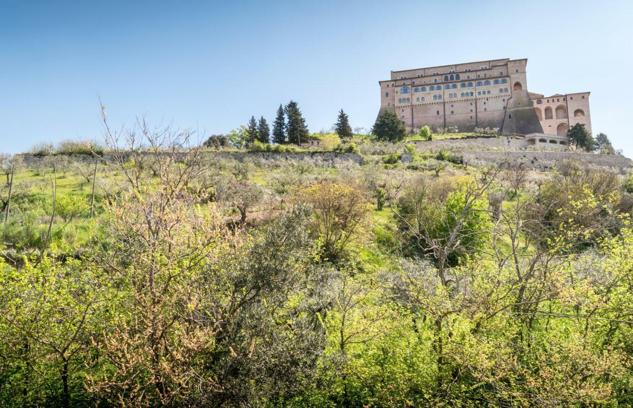 Camera Matrimoniale