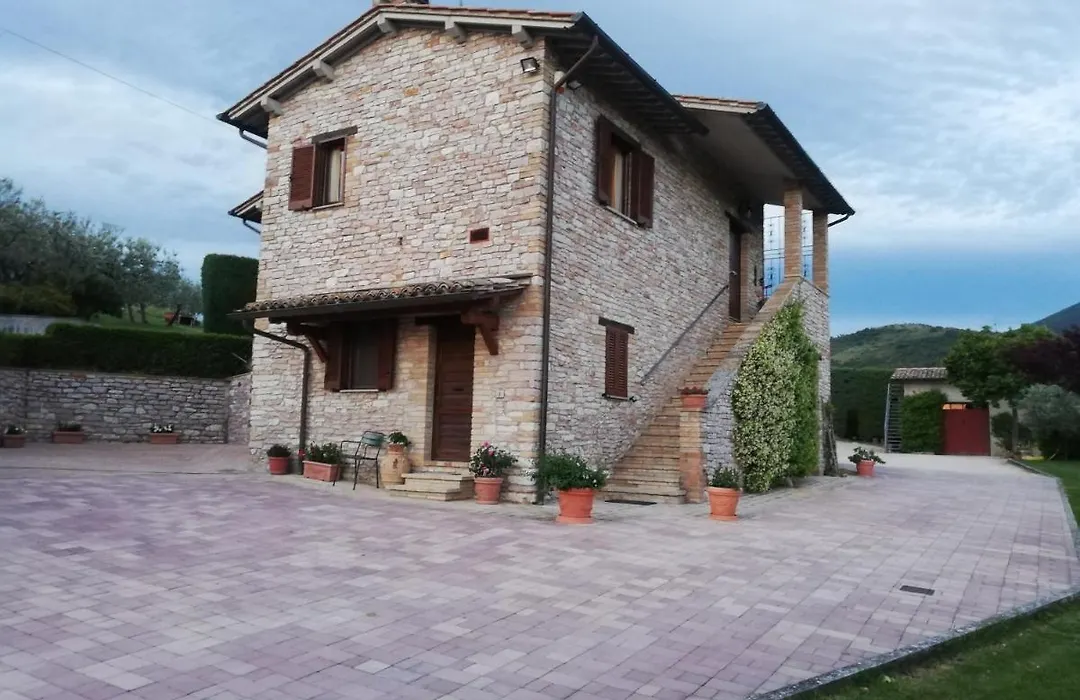 La Casa Tra Gli Ulivi-1