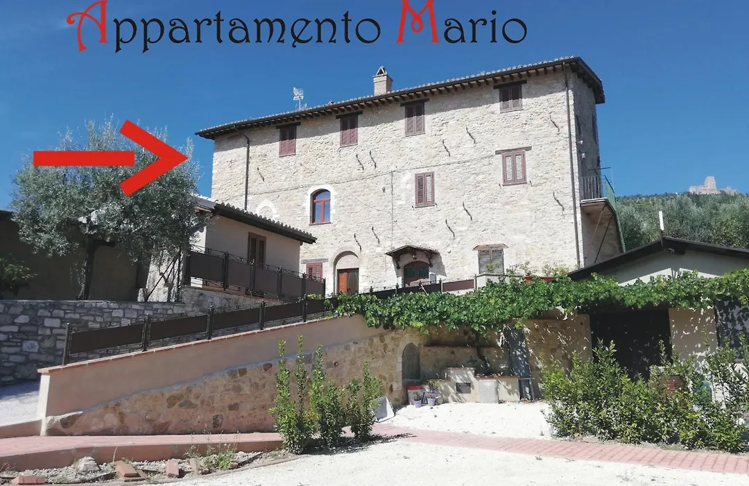 Appartamenti Cardinali-1