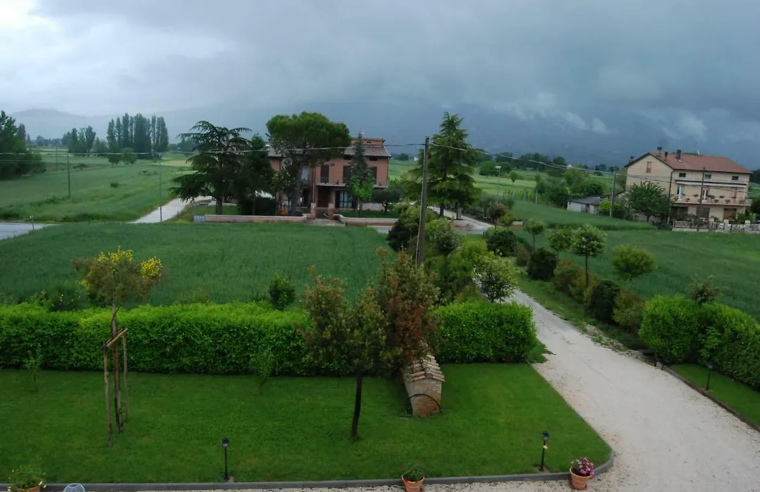 Il Sagrato di Assisi-1