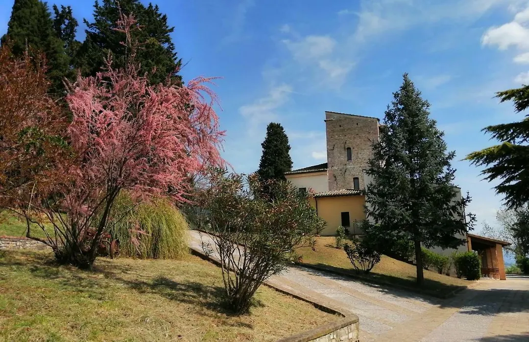 Casa per Ferie Ulivo d'Assisi-1