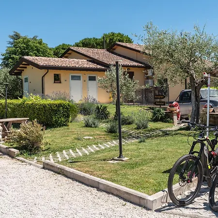 Agriturismo Il Girasole Assisi-2
