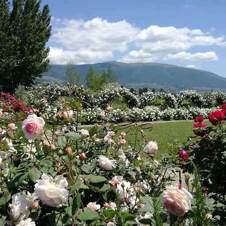 Il Fienile di Assisi-2