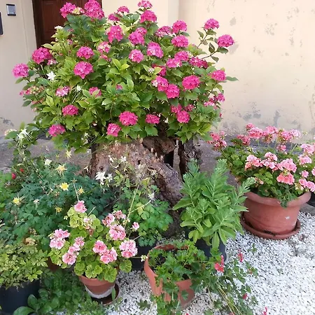 Agriturismo Col Cacione-3