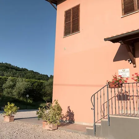Bed & Breakfast Al Pian D'Assisi-3